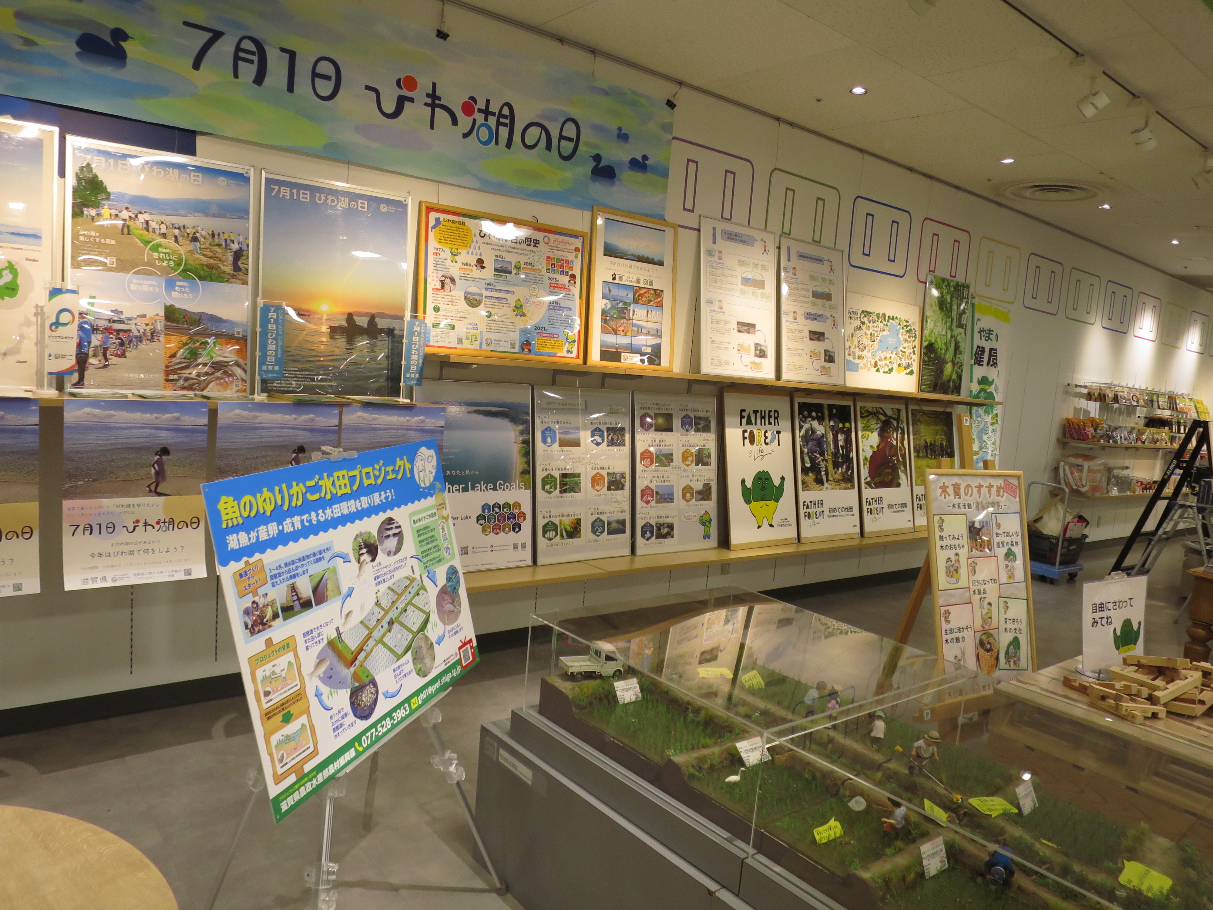 画像：草津近鉄で魚のゆりかご水田ジオラマを展示中！