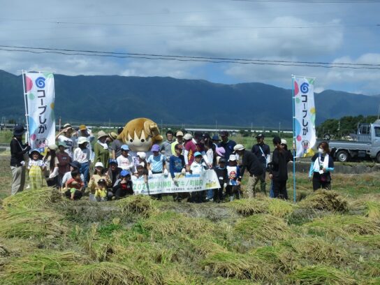 画像：高島市マキノ町知内で収穫体験をしました。