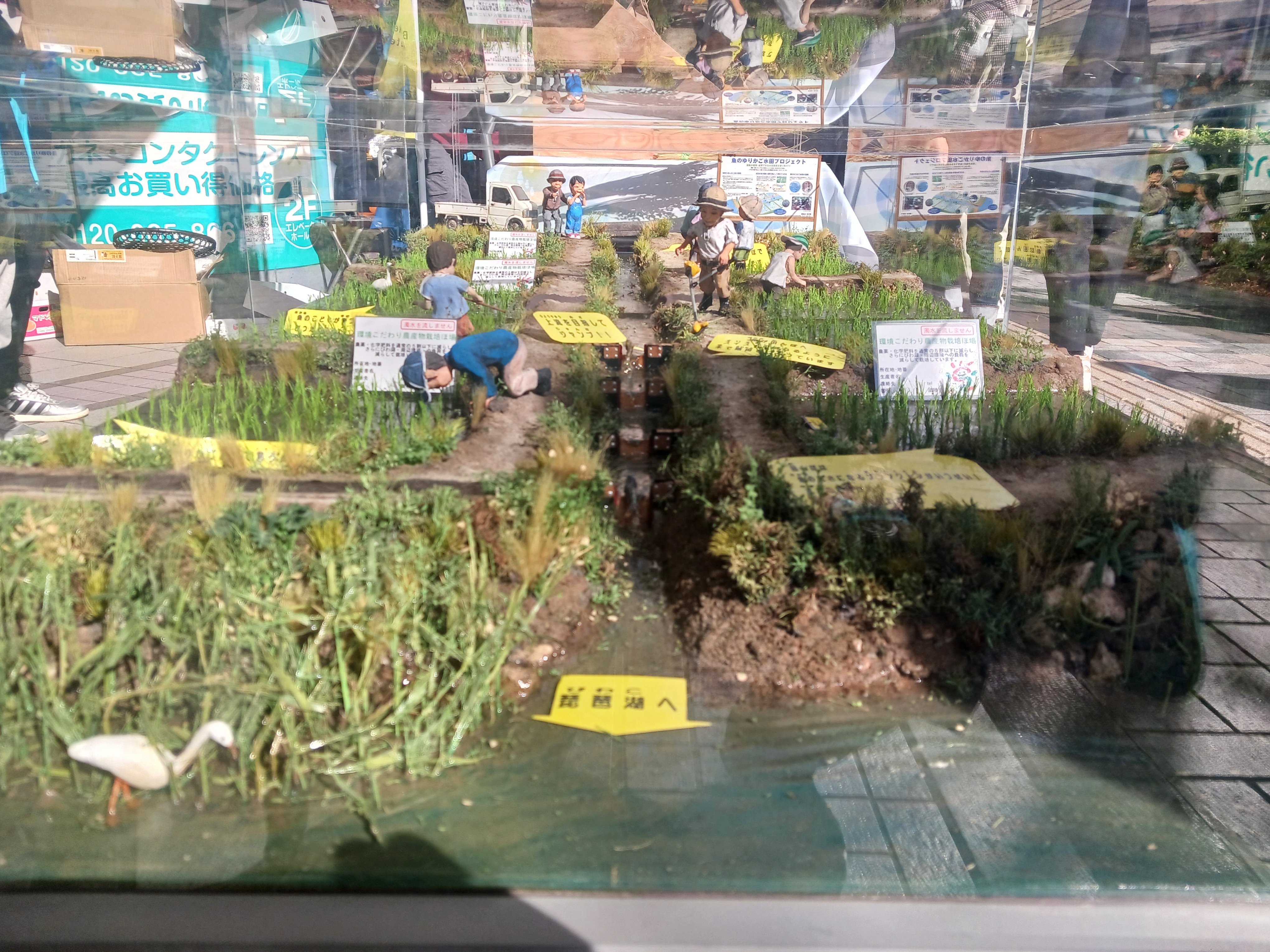 画像：東京・有楽町で「魚のゆりかご水田米フェア」を開催しました♪